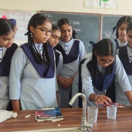 WhatsApp Image 2023-02-15 at 12.04.19 PM