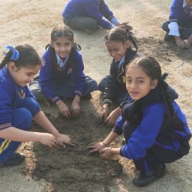 WhatsApp Image 2023-02-15 at 12.04.25 PM